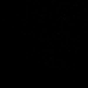 Meet your Posher, Marcus